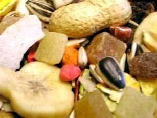 Parrot food hot sale 12.5 kg