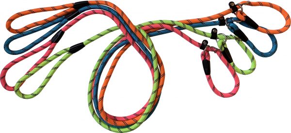 Hem And Boo Neon Rope Slip Lead
