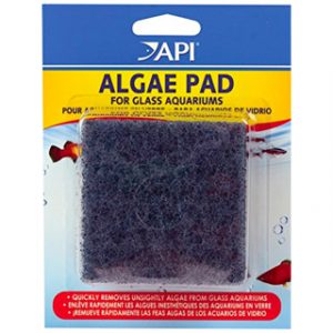Hand Held Algae Pad For Glass