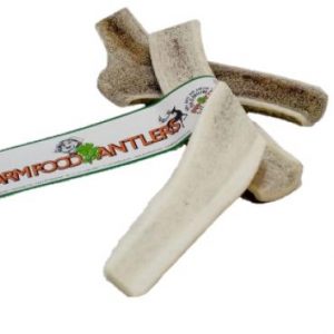 Antler Dog Chew Small Easy/Puppy