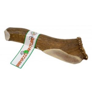 Antler Dog Chew X Large