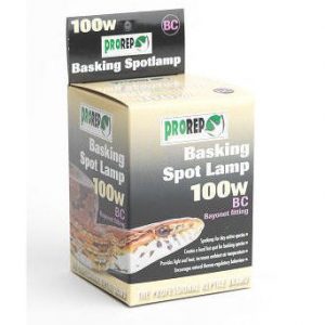 Basking Spot Lamp 100w Bayonet