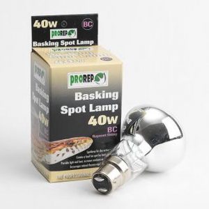 Basking Spot Lamp 40w Bayonet