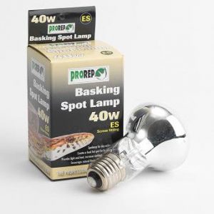 Basking Spot Lamp 40w Screw