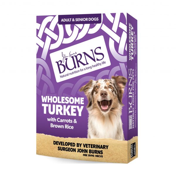 Burns Wholesome Turkey 395g