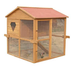 Chicken House and Run