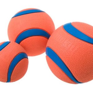 Chuckit Ultra Ball Medium 2pk