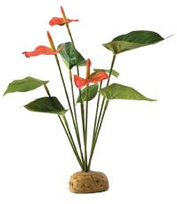 Exo Terra Rainforest Anthurium Bush