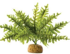 Exo Terra Rainforest Boston Fern Small