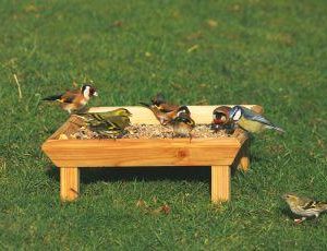 Ground Feeding Table
