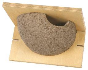House Martin Nest