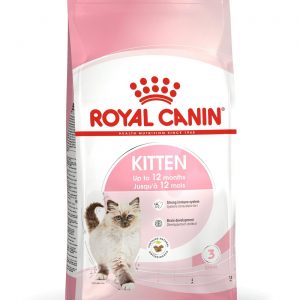 RC Kitten 36 400g