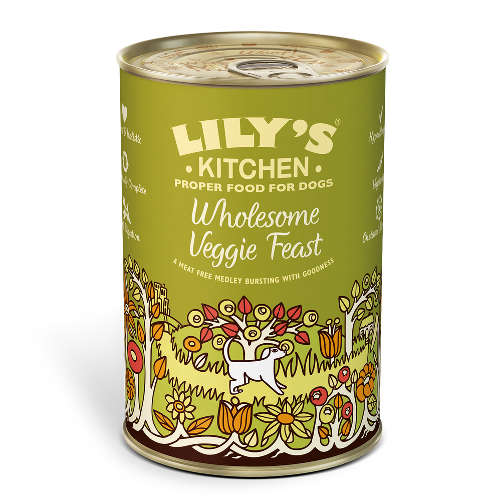 Lily's Kitchen Veggie Feast 400g