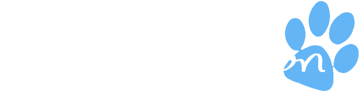 Pet Perfection