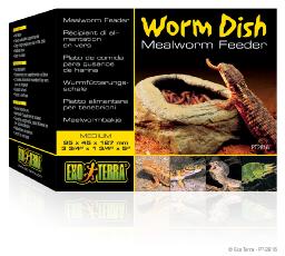 Mealworm Dish