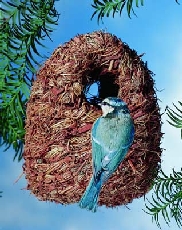 Nest Shelter