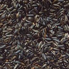 Niger Seed 800g