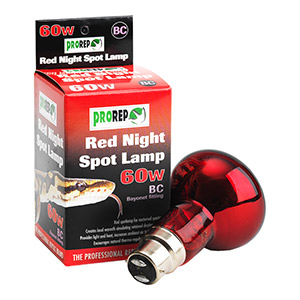 Red Spot Lamp 60w Bayonet