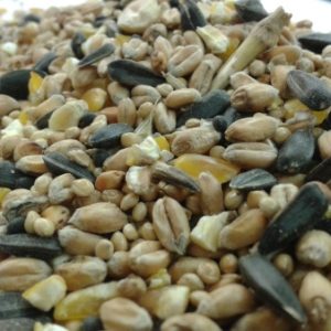 Wild Bird Seed Bulk 20kg